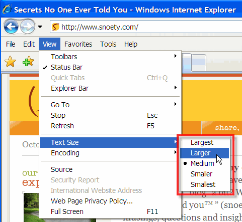 IE Change Text Size - Screenshot IE Change Text Size - Screenshot